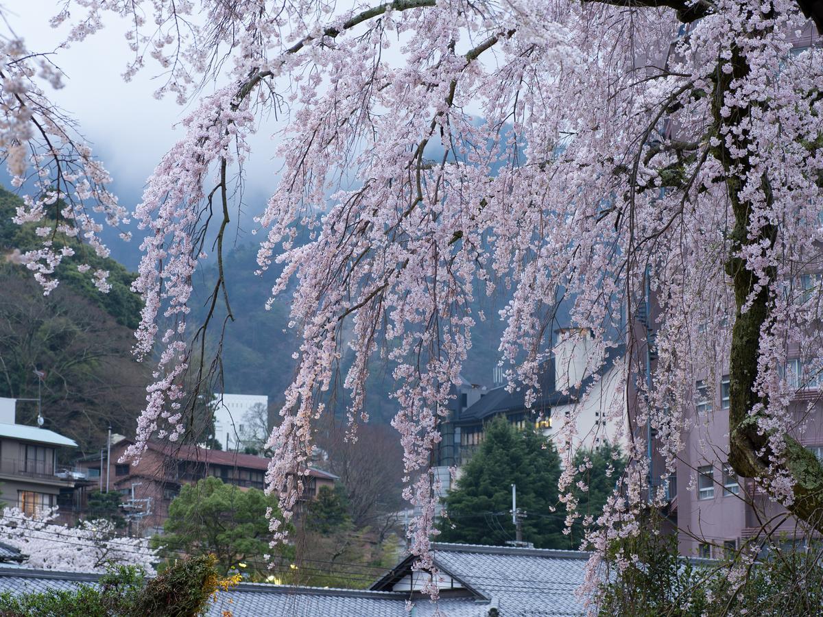 Hotel Arima Onsen Motoyu Ryuusenkaku Kōbe Exterior foto