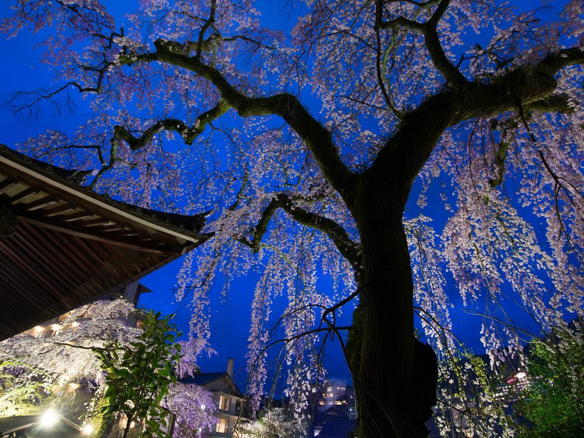 Hotel Arima Onsen Motoyu Ryuusenkaku Kōbe Exterior foto
